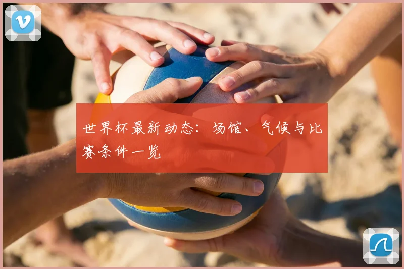 世界杯最新动态:场馆、气候与比赛条件一览