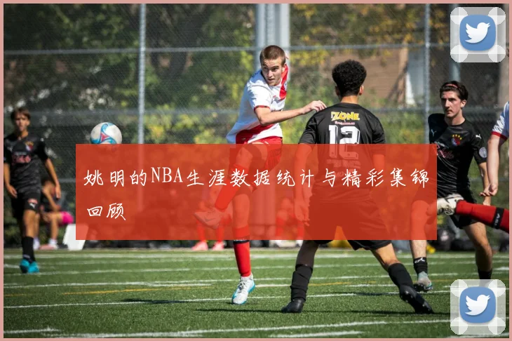 姚明的NBA生涯数据统计与精彩集锦回顾